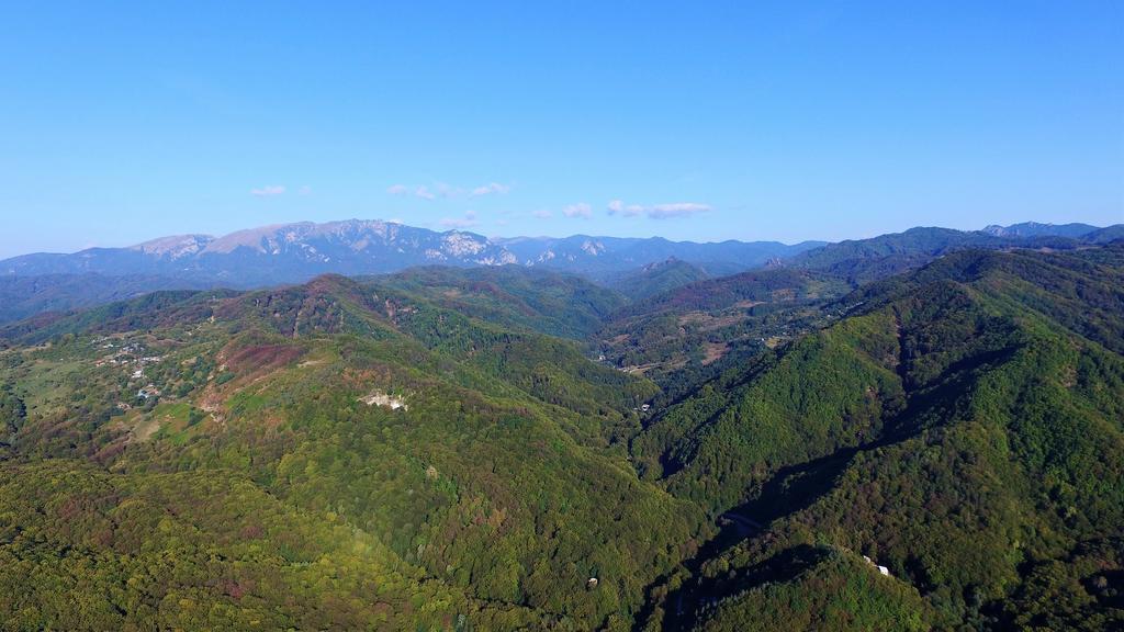 Pensiunea Eden Băile Olăneşti Exterior foto